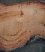 Eucalyptus burl, table top, approx. 1800 x 1110 x 52 mm, 11866