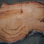 Eucalyptus burl, table top, approx. 1800 x 1110 x 52 mm, 11866