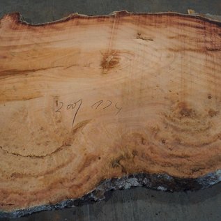 Eucalyptus burl, table top, approx. 2000 x 1240 x 52 mm, 11865