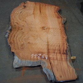 Eucalyptus burl, table top, approx. 2200 x 1360 x 52 mm, 11864