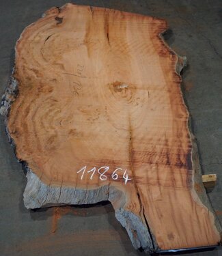 Eucalyptus burl, table top, approx. 2200 x 1360 x 52 mm, 11864