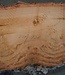 Eucalyptus burl, table top, approx. 2200 x 1360 x 52 mm, 11864