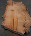 Eucalyptus burl, table top, approx. 2200 x 1360 x 52 mm, 11864