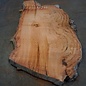 Eucalyptus burl, table top, approx. 2200 x 1360 x 52 mm, 11864
