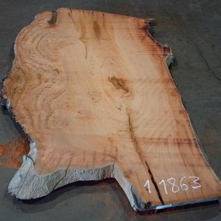 Eucalyptus burl, table top, approx. 2350 x 1420 x 52 mm, 11863