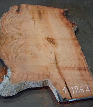 Eukalyptus Maser, Tischplatte, ca. 2350 x 1420 x 52 mm, 11863