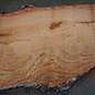 Eucalyptus burl, table top, approx. 2350 x 1420 x 52 mm, 11863