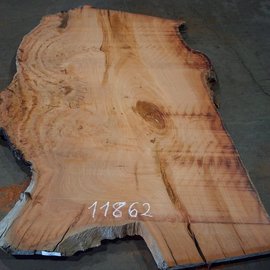 Eucalyptus burl, table top, approx. 2500 x 1490 x 52 mm, 11862