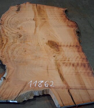 Eukalyptus Maser, Tischplatte, ca. 2500 x 1490 x 52 mm, 11862