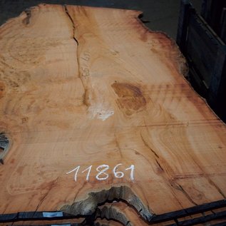 Eukalyptus Maser, Tischplatte, ca. 2600 x 1590 x 52 mm, 11861