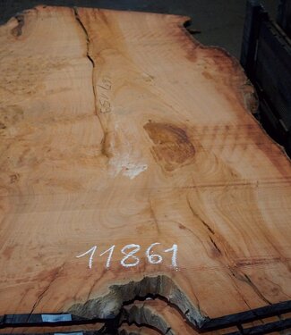 Eucalyptus burl, table top, approx. 2600 x 1590 x 52 mm, 11861