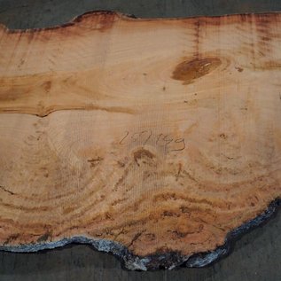 Eucalyptus burl, table top, approx. 2500 x 1490 x 52 mm, 11862