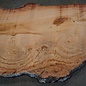 Eucalyptus burl, table top, approx. 2500 x 1490 x 52 mm, 11862