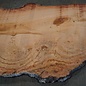 Eukalyptus Maser, Tischplatte, ca. 2500 x 1490 x 52 mm, 11862