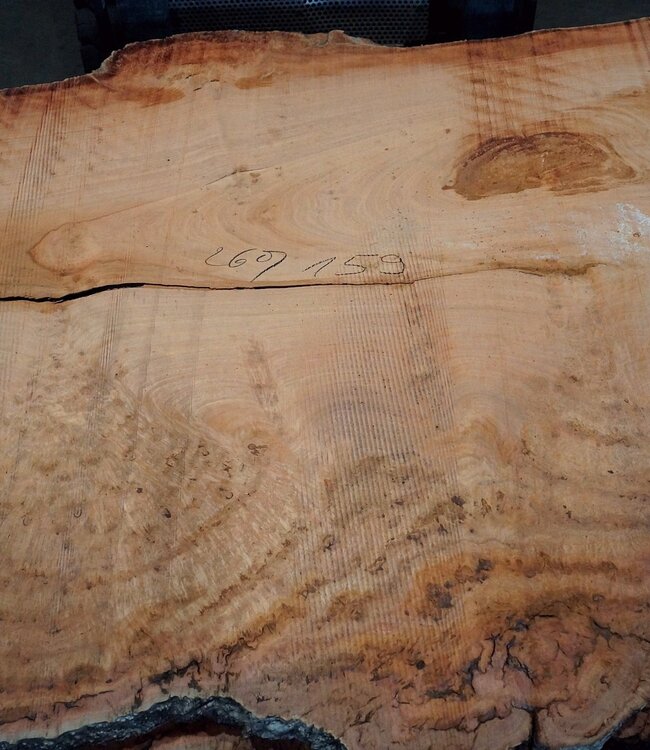 Eukalyptus Maser, Tischplatte, ca. 2600 x 1590 x 52 mm, 11861