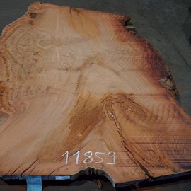 Eucalyptus burl, table top, approx. 2700 x 1700 x 52 mm, 11859