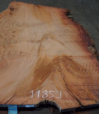 Eukalyptus Maser, Tischplatte, ca. 2700 x 1700 x 52 mm, 11859