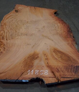 Eucalyptus burl, table top, approx. 2750 x 1770 x 52 mm, 11858