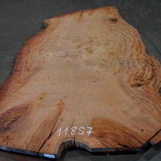 Eucalyptus burl, table top, approx. 2800 x 1850 x 52 mm, 11857