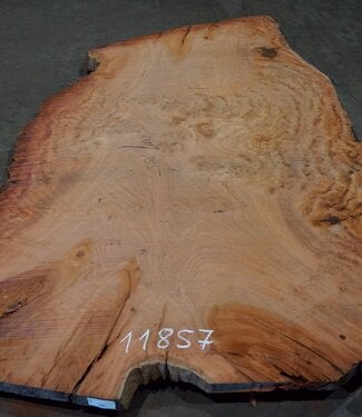 Eucalyptus burl, table top, approx. 2800 x 1850 x 52 mm, 11857