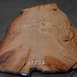 Eucalyptus burl, table top, approx. 2800 x 1850 x 52 mm, 11857