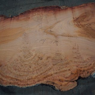 Eucalyptus burl, table top, approx. 2700 x 1700 x 52 mm, 11859