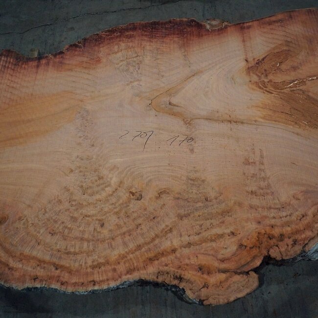 Eukalyptus Maser, Tischplatte, ca. 2700 x 1700 x 52 mm, 11859