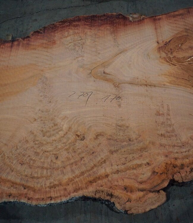 Eukalyptus Maser, Tischplatte, ca. 2700 x 1700 x 52 mm, 11859
