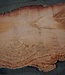 Eukalyptus Maser, Tischplatte, ca. 2700 x 1700 x 52 mm, 11859