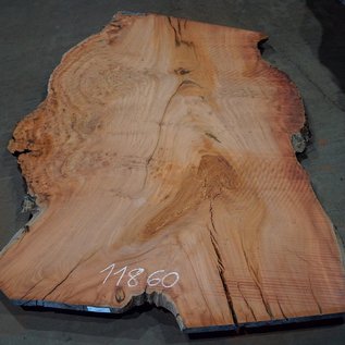 Eucalyptus burl, table top, approx. 2700 x 1660 x 52 mm, 11860