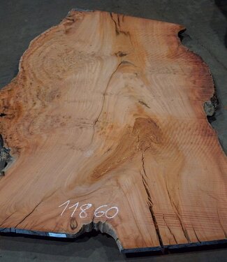 Eucalyptus burl, table top, approx. 2700 x 1660 x 52 mm, 11860