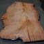 Eukalyptus Maser, Tischplatte, ca. 2700 x 1660 x 52 mm, 11860