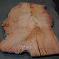 Eucalyptus burl, table top, approx. 2700 x 1660 x 52 mm, 11860