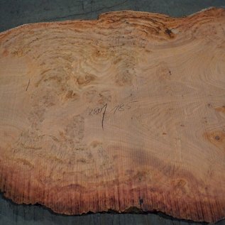 Eucalyptus burl, table top, approx. 2800 x 1850 x 52 mm, 11857
