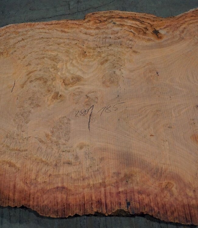 Eukalyptus Maser, Tischplatte, ca. 2800 x 1850 x 52 mm, 11857