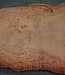 Eukalyptus Maser, Tischplatte, ca. 2800 x 1850 x 52 mm, 11857