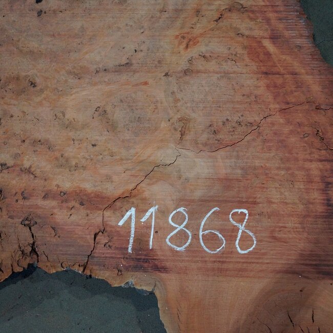 Eukalyptus Maser, Tischplatte, ca. 2900 x 1750 x 52 mm, 11868