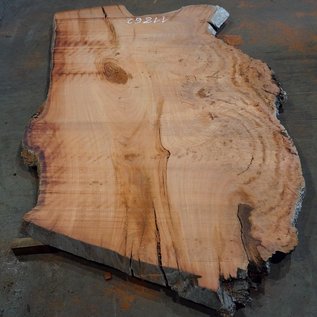 Eucalyptus burl, table top, approx. 2500 x 1490 x 52 mm, 11862