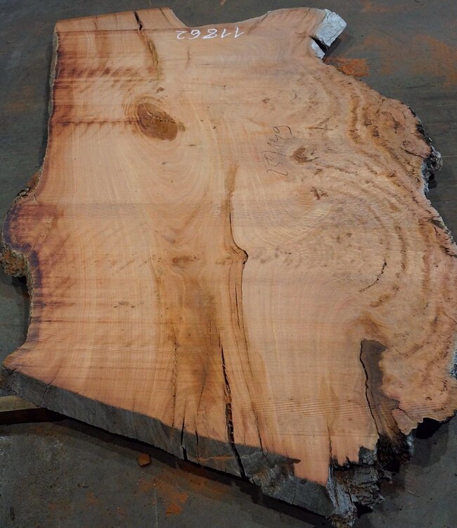 Eucalyptus burl, table top, approx. 2500 x 1490 x 52 mm, 11862