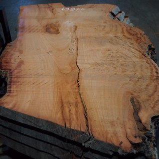 Eucalyptus burl, table top, approx. 2600 x 1590 x 52 mm, 11861