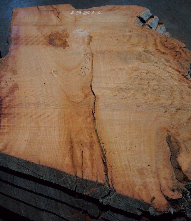 Eukalyptus Maser, Tischplatte, ca. 2600 x 1590 x 52 mm, 11861