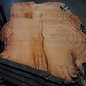 Eucalyptus burl, table top, approx. 2600 x 1590 x 52 mm, 11861