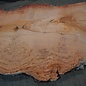 Eucalyptus burl, table top, approx. 2700 x 1660 x 52 mm, 11860