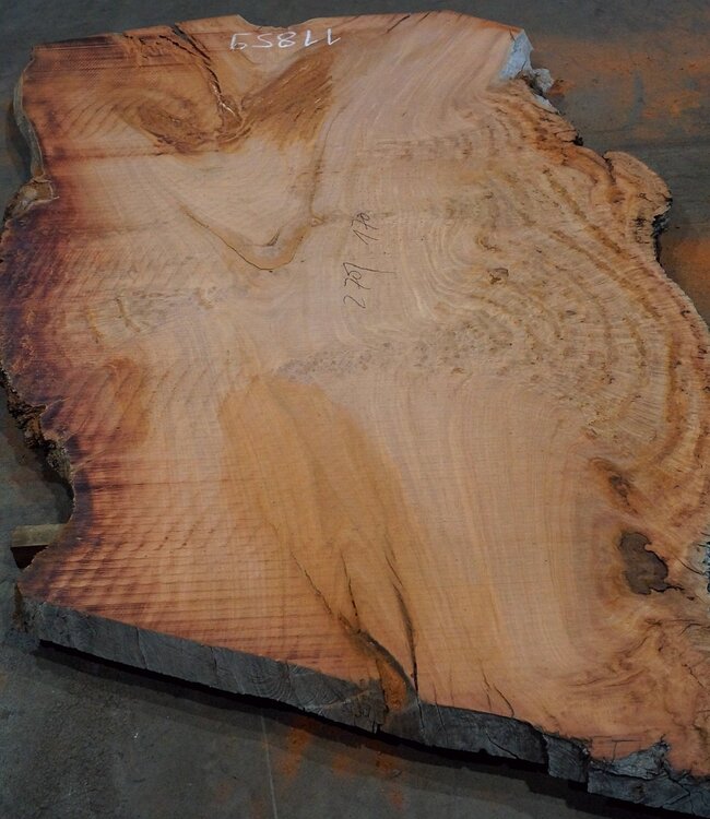 Eukalyptus Maser, Tischplatte, ca. 2700 x 1700 x 52 mm, 11859