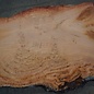 Eucalyptus burl, table top, approx. 2750 x 1770 x 52 mm, 11858