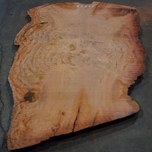 Eucalyptus burl, table top, approx. 2800 x 1850 x 52 mm, 11857