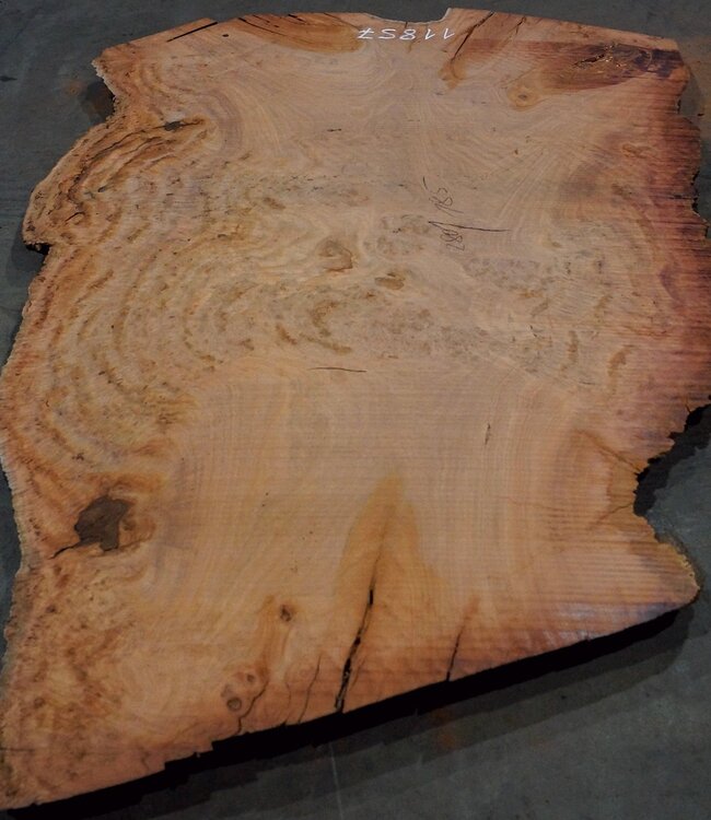 Eukalyptus Maser, Tischplatte, ca. 2800 x 1850 x 52 mm, 11857