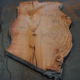 Eucalyptus burl, table top, approx. 2700 x 1660 x 52 mm, 11860