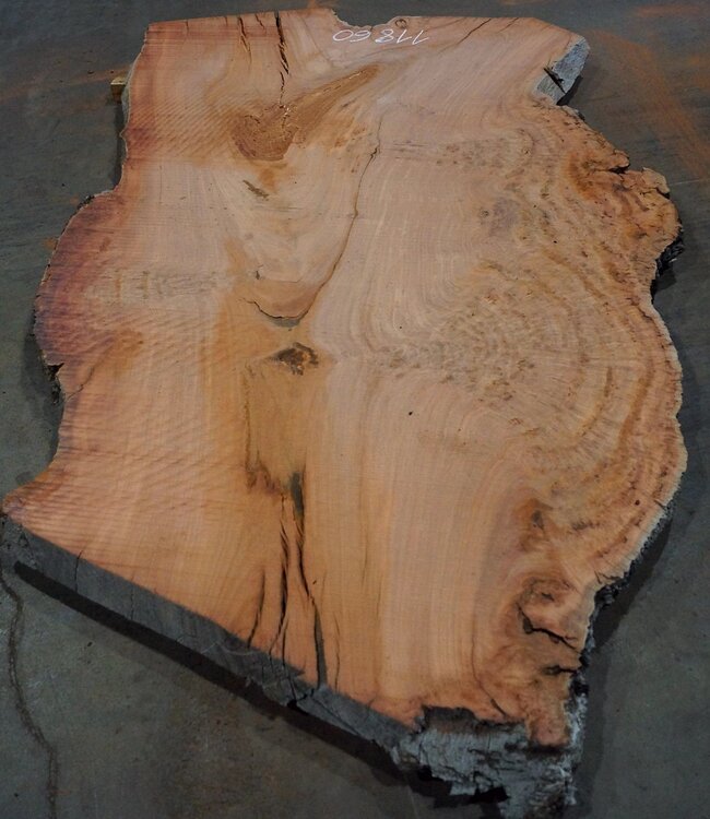 Eucalyptus burl, table top, approx. 2700 x 1660 x 52 mm, 11860