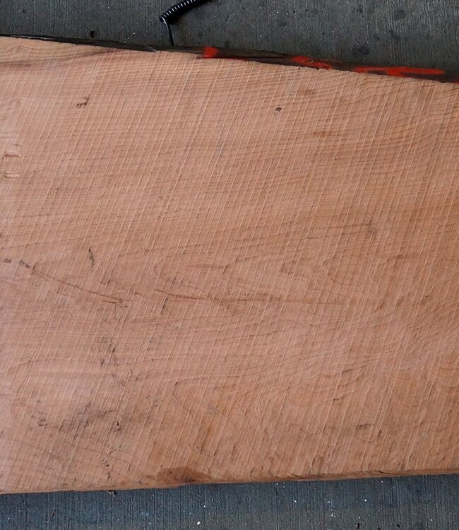 Redwood burl, approx. 1400 x 450 x 45 mm, 60797